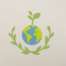 SECRETARIA DE MEDIO AMBIENTE Y CAMBIO CLIMATICO