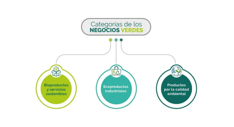 SECRETARIA DE MEDIO AMBIENTE Y CAMBIO CLIMATICO