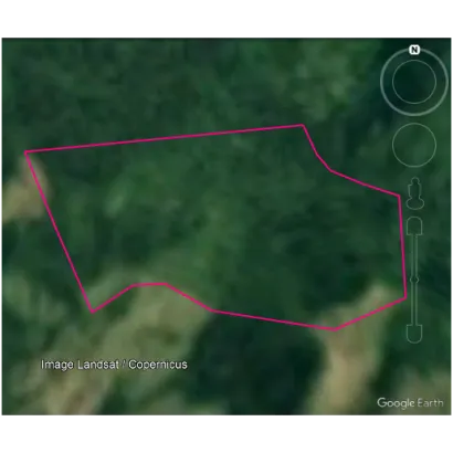 SECRETARIA DE MEDIO AMBIENTE Y CAMBIO CLIMATICO