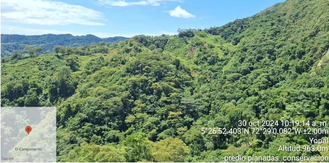 SECRETARIA DE MEDIO AMBIENTE Y CAMBIO CLIMATICO