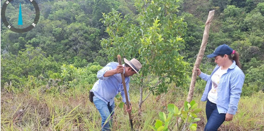 SECRETARIA DE MEDIO AMBIENTE Y CAMBIO CLIMATICO