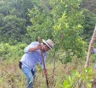 SECRETARIA DE MEDIO AMBIENTE Y CAMBIO CLIMATICO