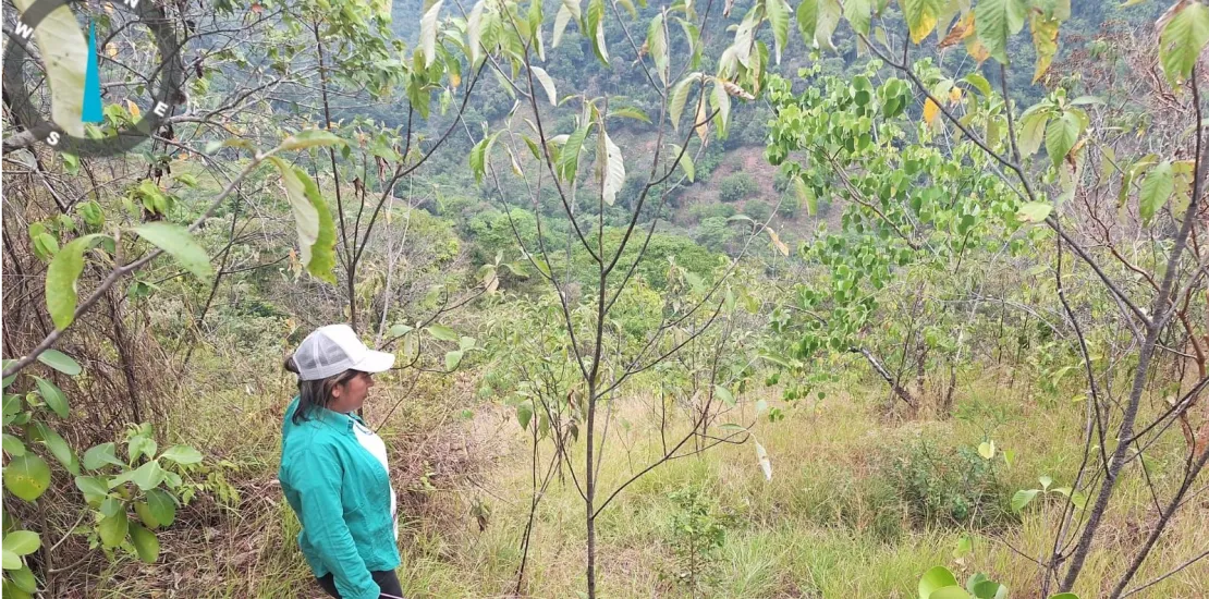 SECRETARIA DE MEDIO AMBIENTE Y CAMBIO CLIMATICO