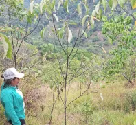 SECRETARIA DE MEDIO AMBIENTE Y CAMBIO CLIMATICO
