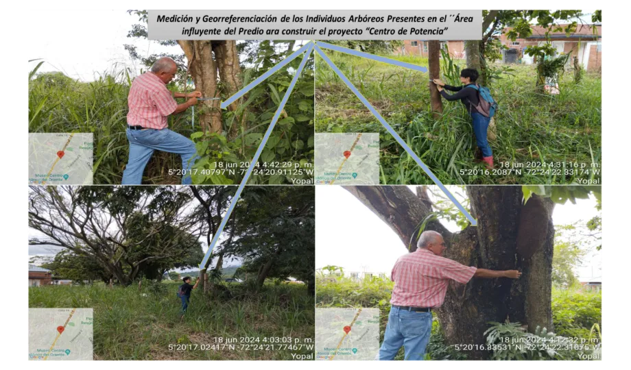 SECRETARIA DE MEDIO AMBIENTE Y CAMBIO CLIMATICO