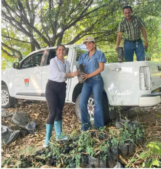 SECRETARIA DE MEDIO AMBIENTE Y CAMBIO CLIMATICO