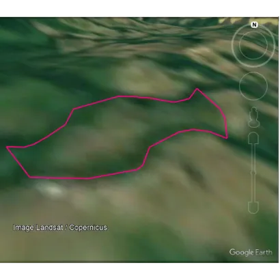 SECRETARIA DE MEDIO AMBIENTE Y CAMBIO CLIMATICO