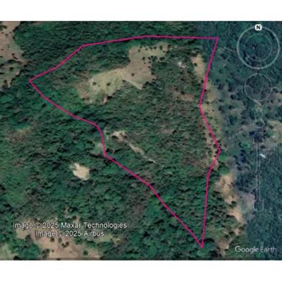 SECRETARIA DE MEDIO AMBIENTE Y CAMBIO CLIMATICO