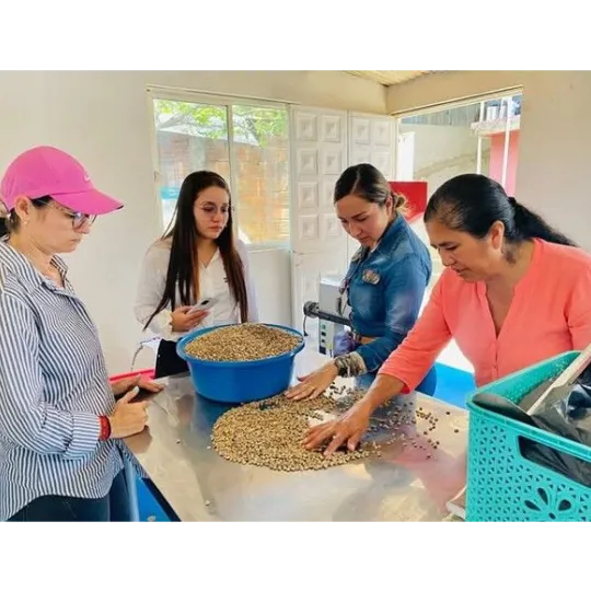 SECRETARIA DE MEDIO AMBIENTE Y CAMBIO CLIMATICO