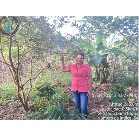 SECRETARIA DE MEDIO AMBIENTE Y CAMBIO CLIMATICO