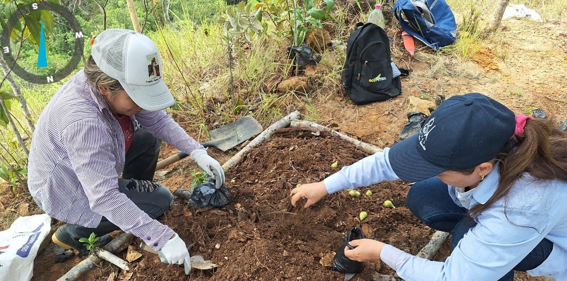 SECRETARIA DE MEDIO AMBIENTE Y CAMBIO CLIMATICO