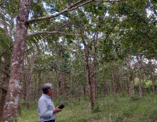 SECRETARIA DE MEDIO AMBIENTE Y CAMBIO CLIMATICO