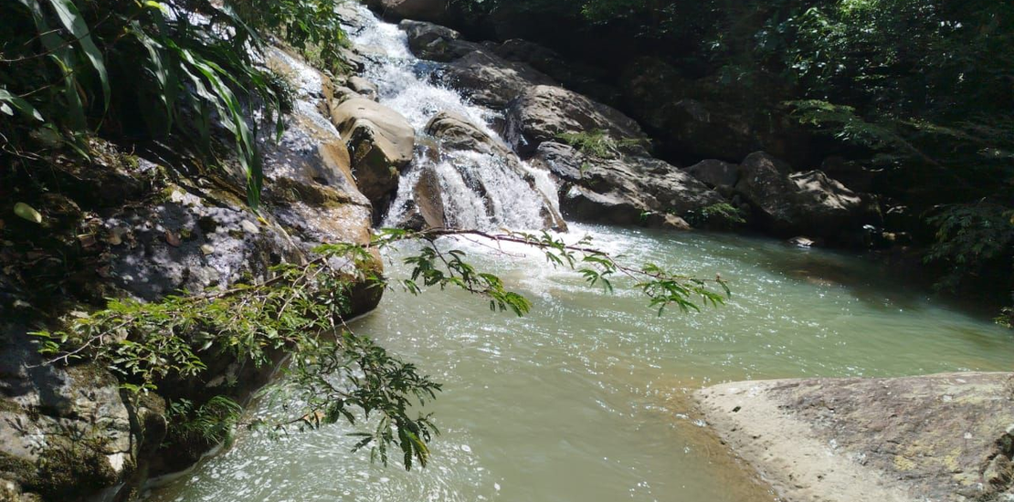 SECRETARIA DE MEDIO AMBIENTE Y CAMBIO CLIMATICO