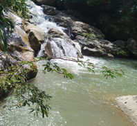 SECRETARIA DE MEDIO AMBIENTE Y CAMBIO CLIMATICO