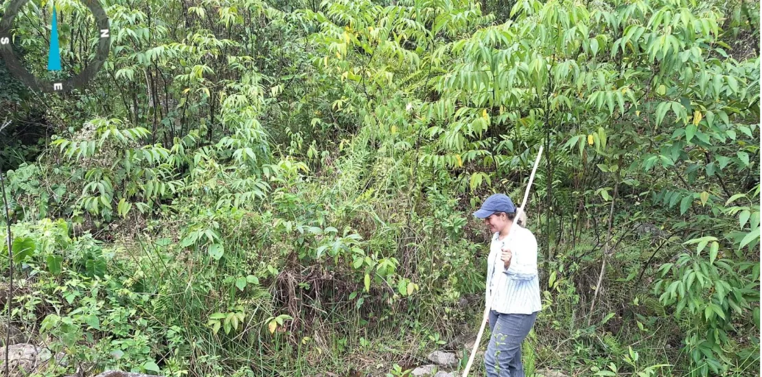 SECRETARIA DE MEDIO AMBIENTE Y CAMBIO CLIMATICO