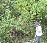 SECRETARIA DE MEDIO AMBIENTE Y CAMBIO CLIMATICO