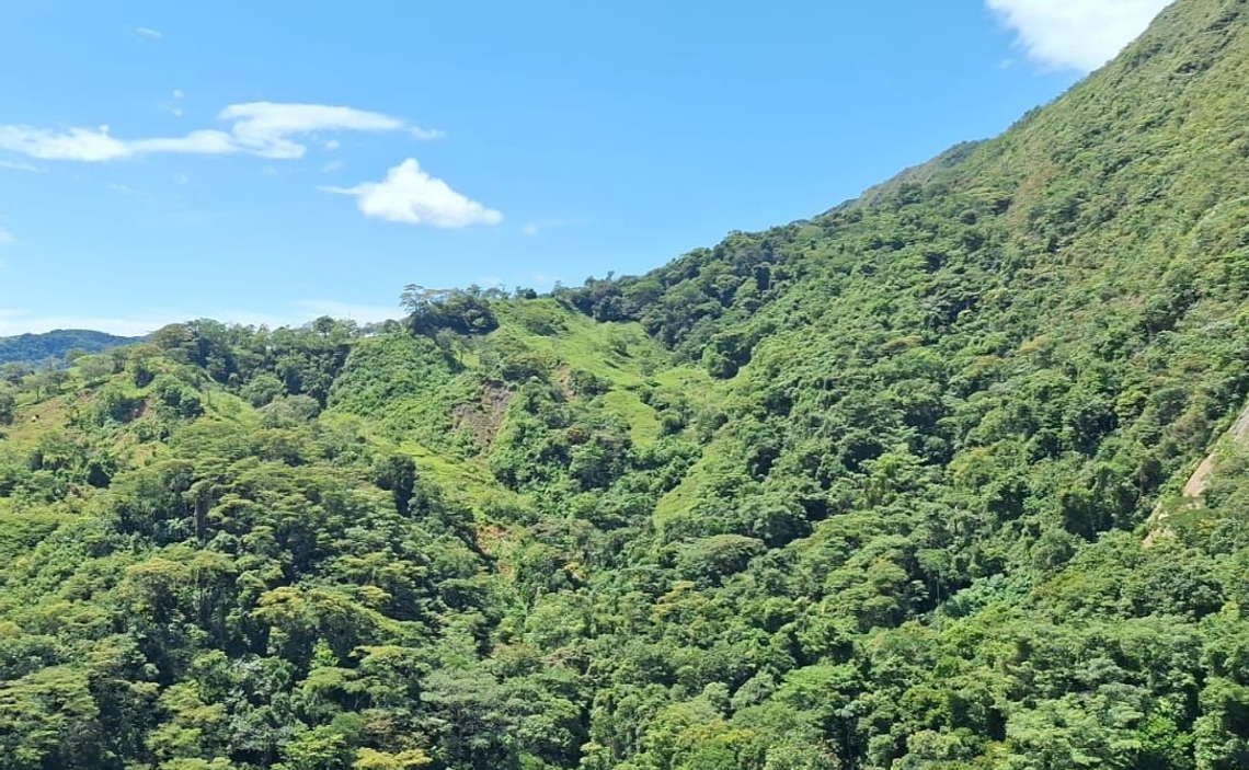 SECRETARIA DE MEDIO AMBIENTE Y CAMBIO CLIMATICO