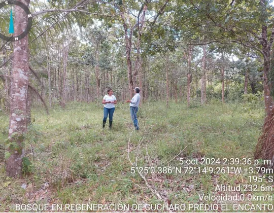 SECRETARIA DE MEDIO AMBIENTE Y CAMBIO CLIMATICO