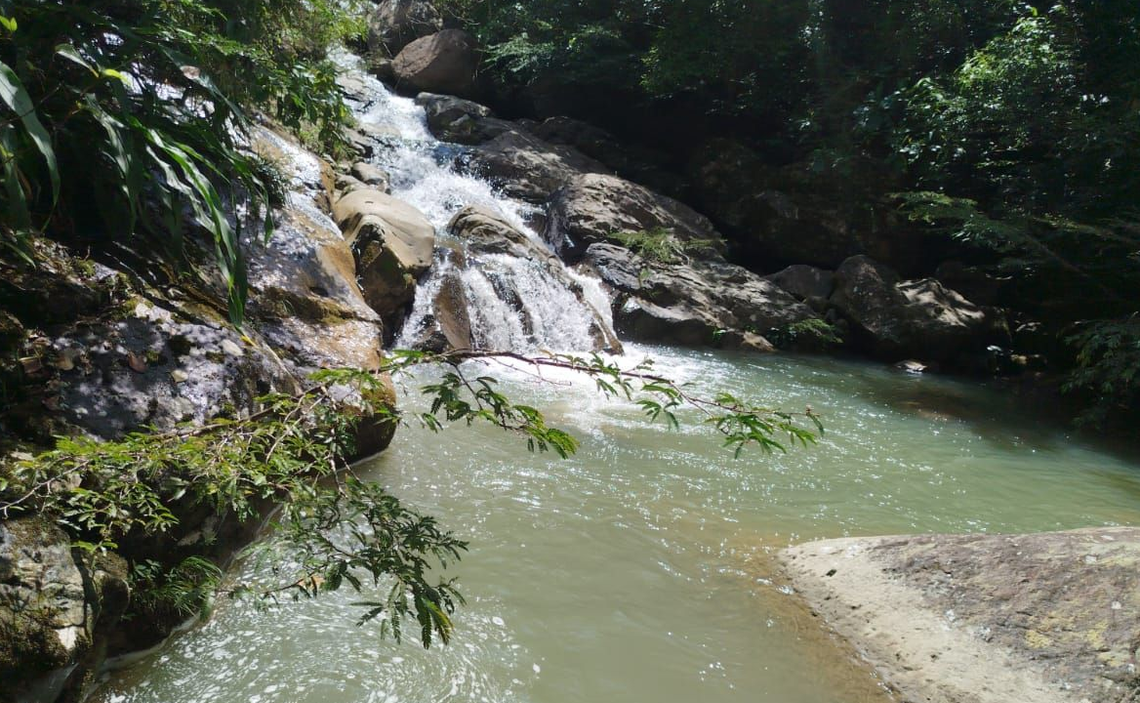 SECRETARIA DE MEDIO AMBIENTE Y CAMBIO CLIMATICO